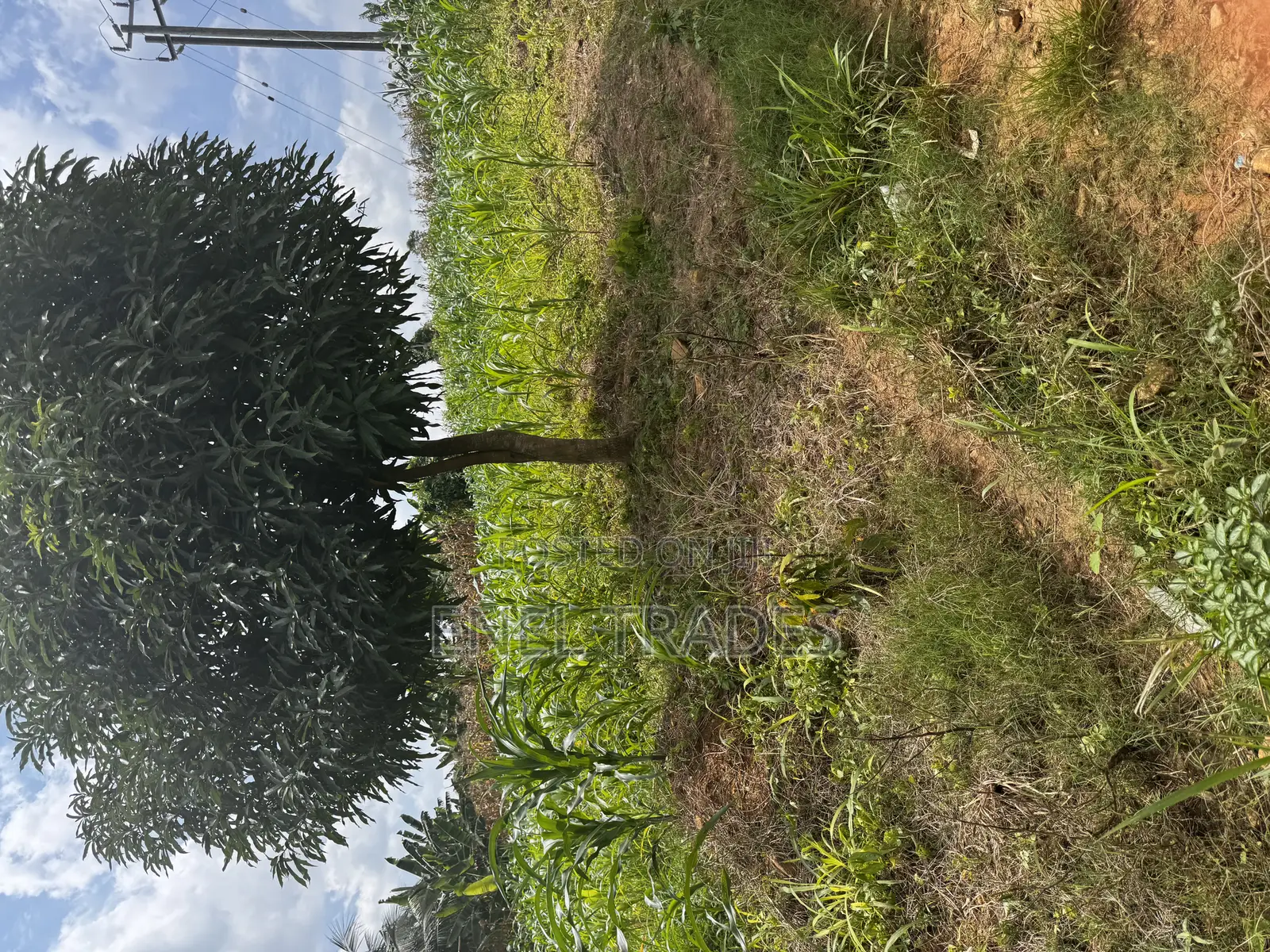 Land for Sale at Asuboi