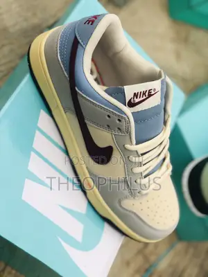 Nike Sb Low Dunk