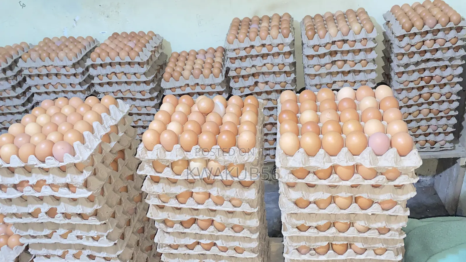 Poultry Products - Fresh Eggs From the Farm