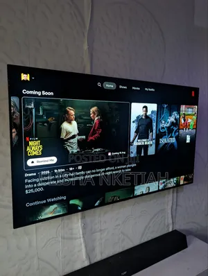 Netflix Account Premium - 6 Month Subscription