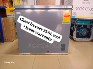 Upright Goldstar 250l Chest Freezer Cool