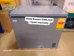 Restaurant Cold Goldstar 250l Chest Freezer Cool