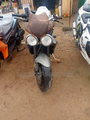 Triumph 2008 Brown