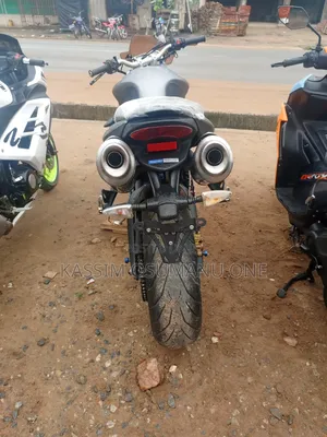 Triumph 2008 Brown