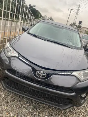 Toyota RAV4 LE AWD (2.5L 4cyl 6A) 2017 Gray
