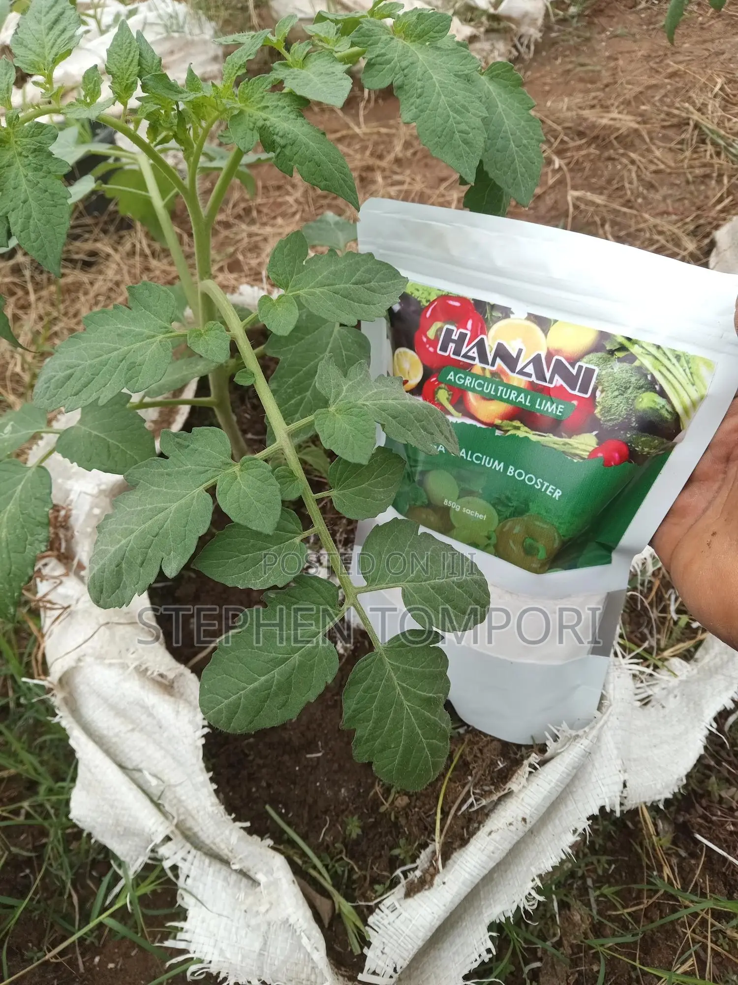 Agricultural Lime(Calcium) Organic Fertiliser