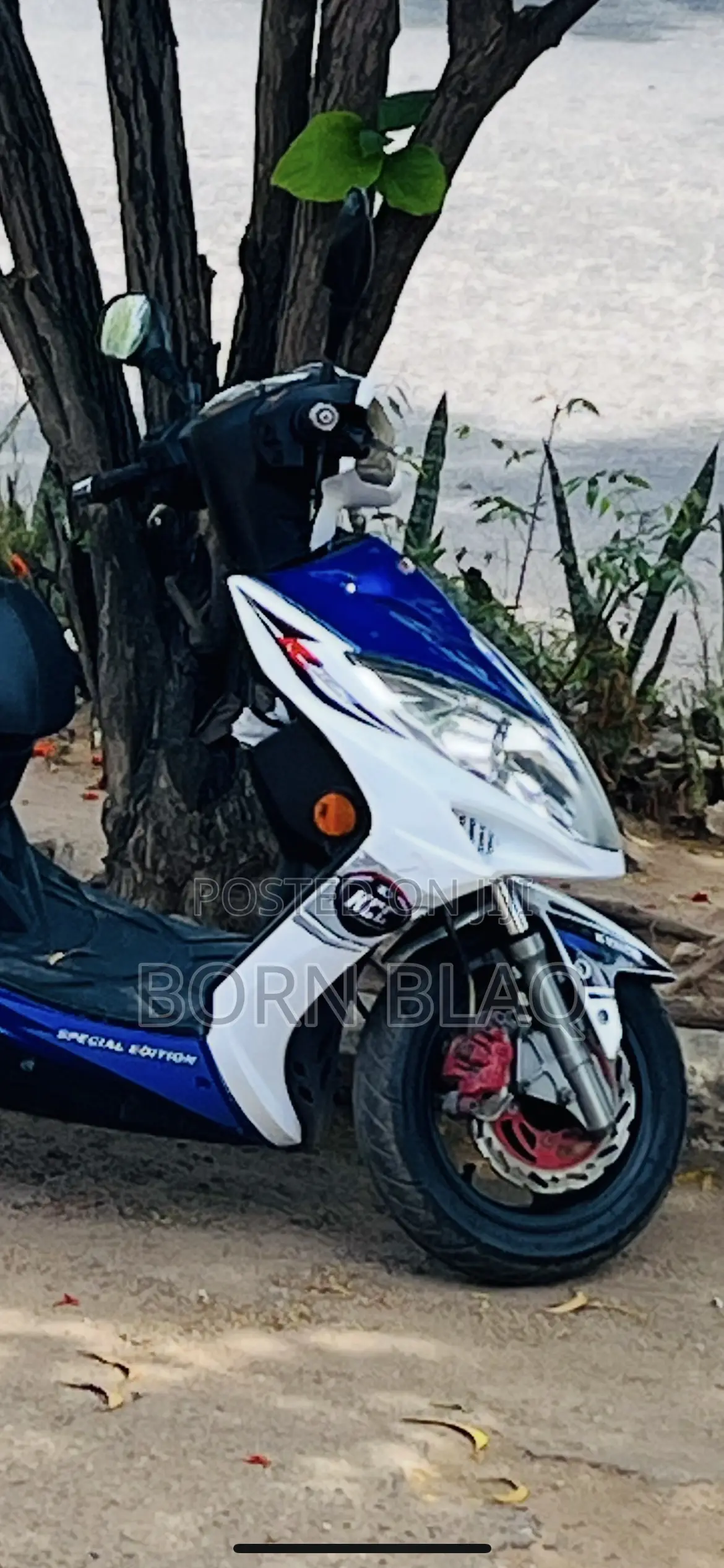 Kymco 2014 White