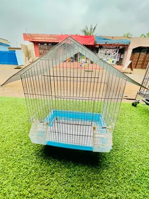 House Like Parrot Cage