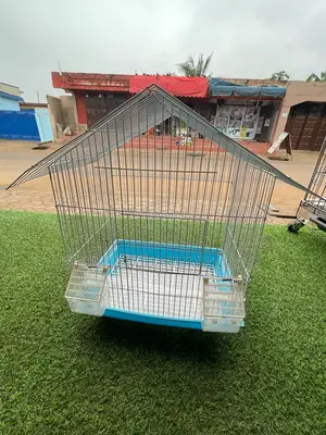 House Like Parrot Cage