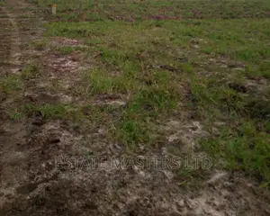 Buy Land Now
