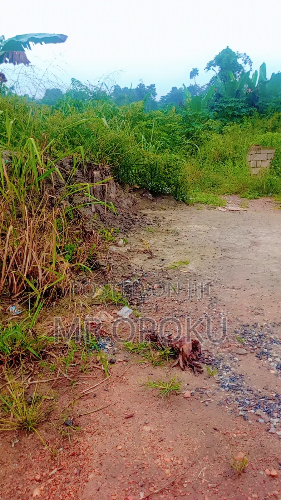 Land for Sell