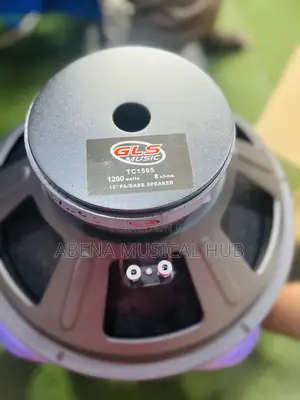 GLS Naked Speaker (Big Magnet) Single Magnet 15inches