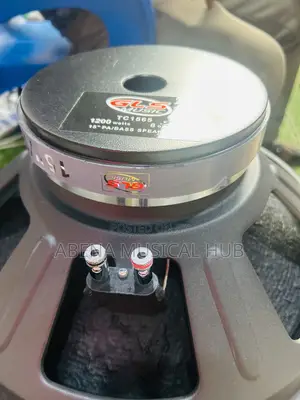GLS Naked Speaker (Big Magnet) Single Magnet 15inches