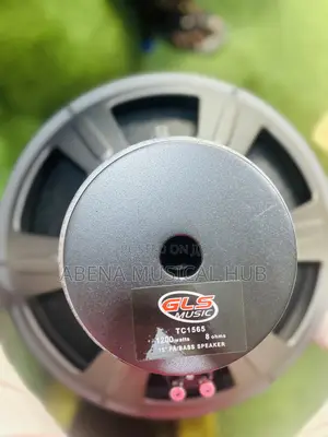 GLS Naked Speaker (Big Magnet) Single Magnet 15inches