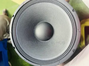 GLS Naked Speaker (Big Magnet) Single Magnet 15inches