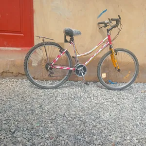 Mountains Bike Inch Size and Cheap Price