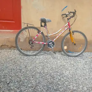 Mountains Bike Inch Size and Cheap Price