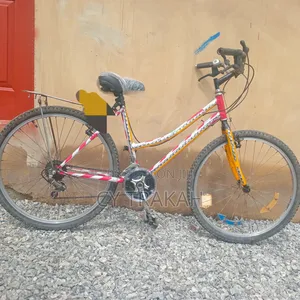 Mountains Bike Inch Size and Cheap Price