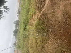 Land (Full Plot) Ejisu -Achinakrom(Sarpeh) for Sale