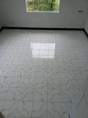 I’M a Professional Tiling Master