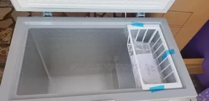 Zara Freezer 202 LTR Lock Light Silver