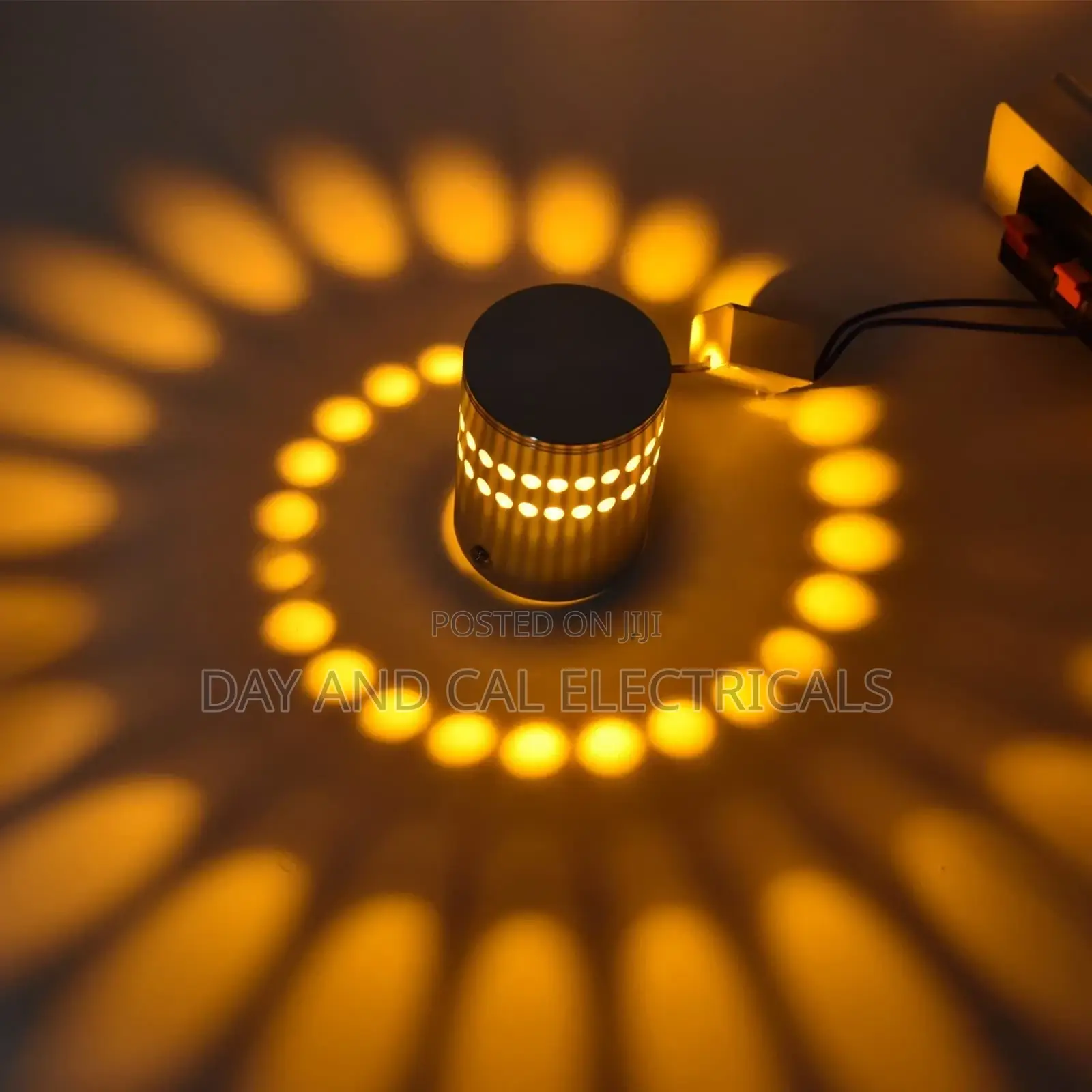 Wall Ceiling Scone Light (1 Color)