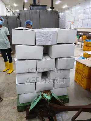 Tilapia for Sale (22 Tons)