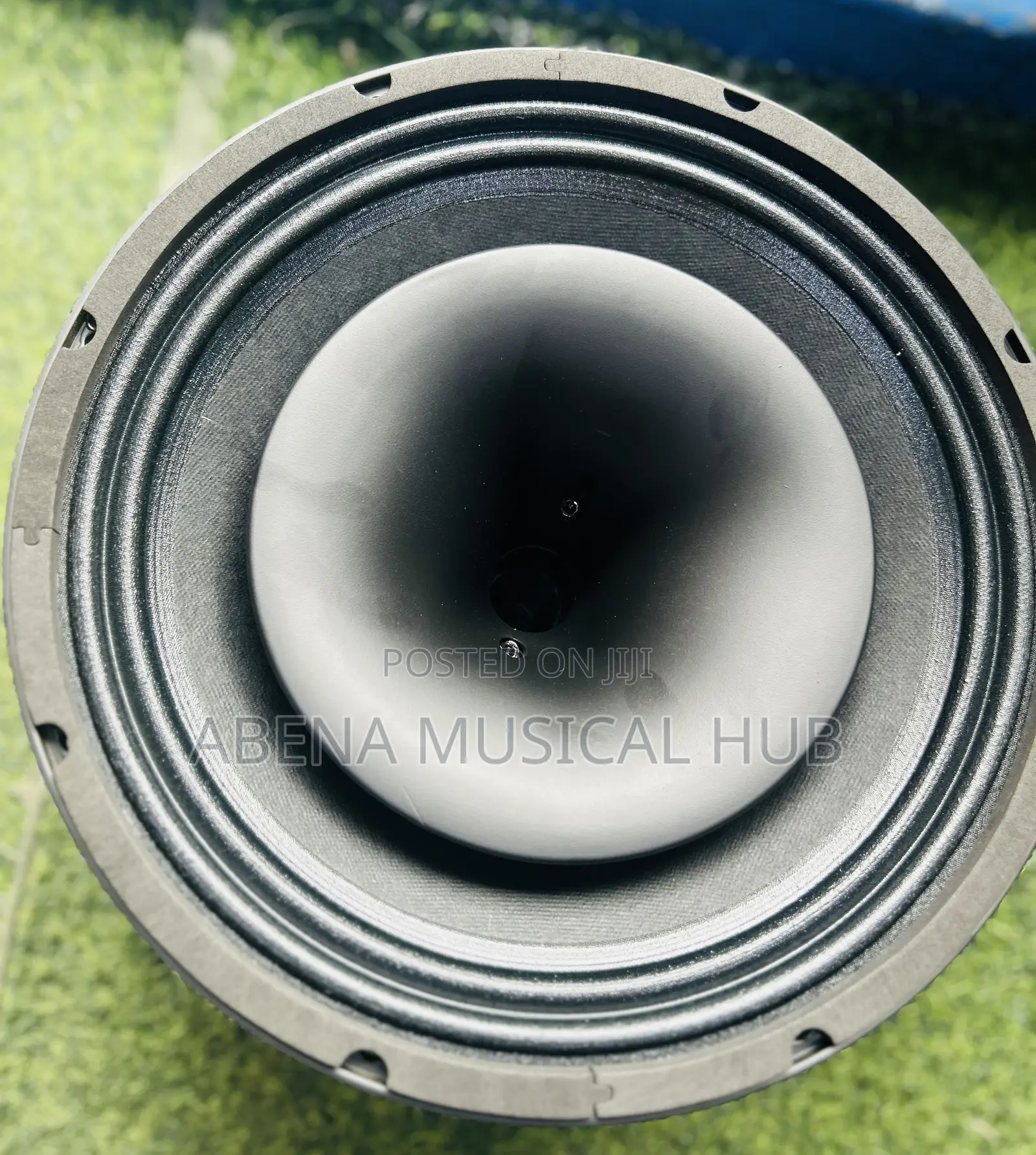 Kozer Naked Speaker