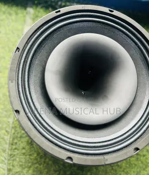 Kozer Naked Speaker