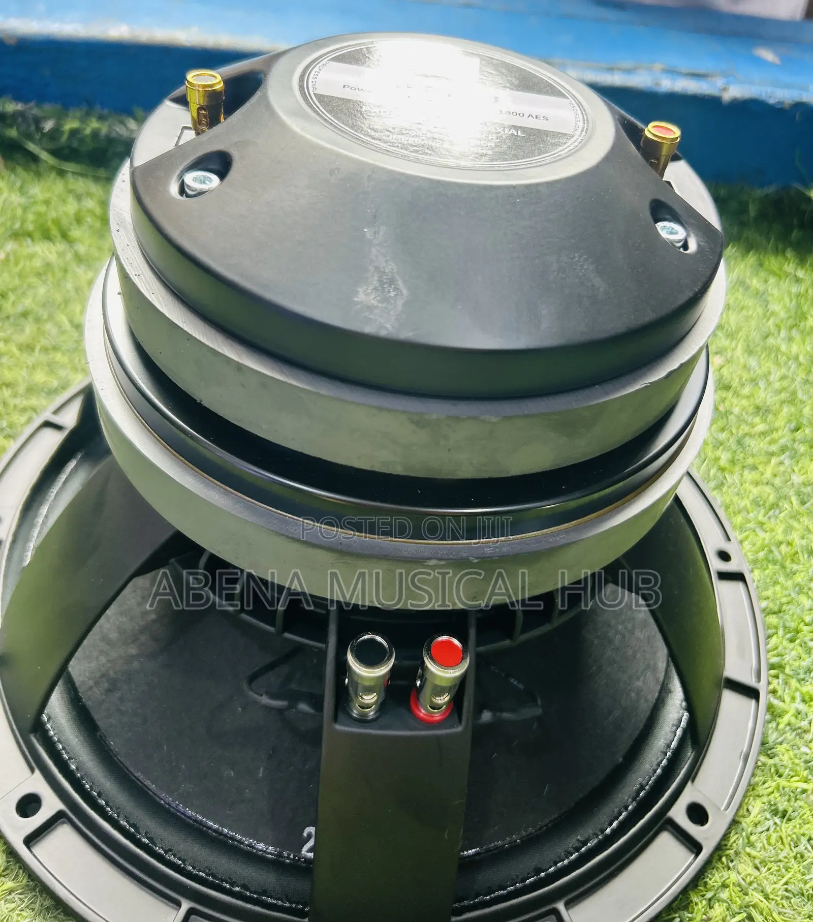 Kozer Naked Speaker