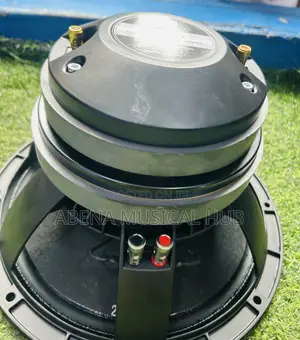 Kozer Naked Speaker