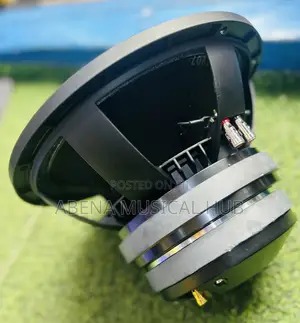 Kozer Naked Speaker