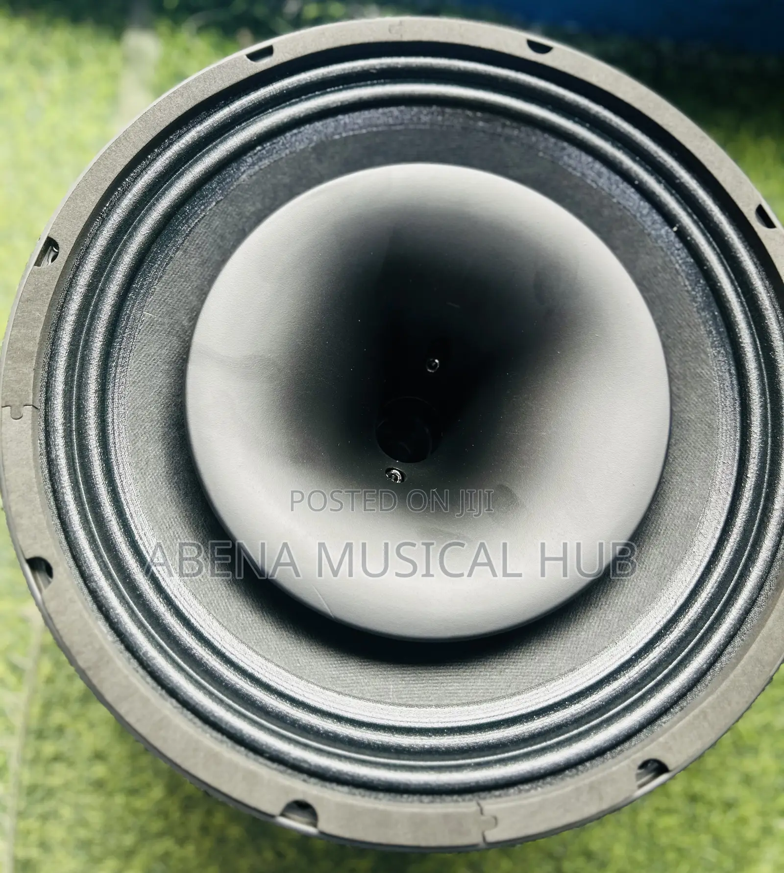 Kozer Naked Speaker