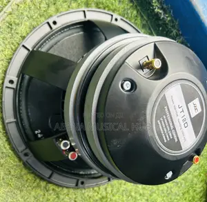 Kozer Naked Speaker