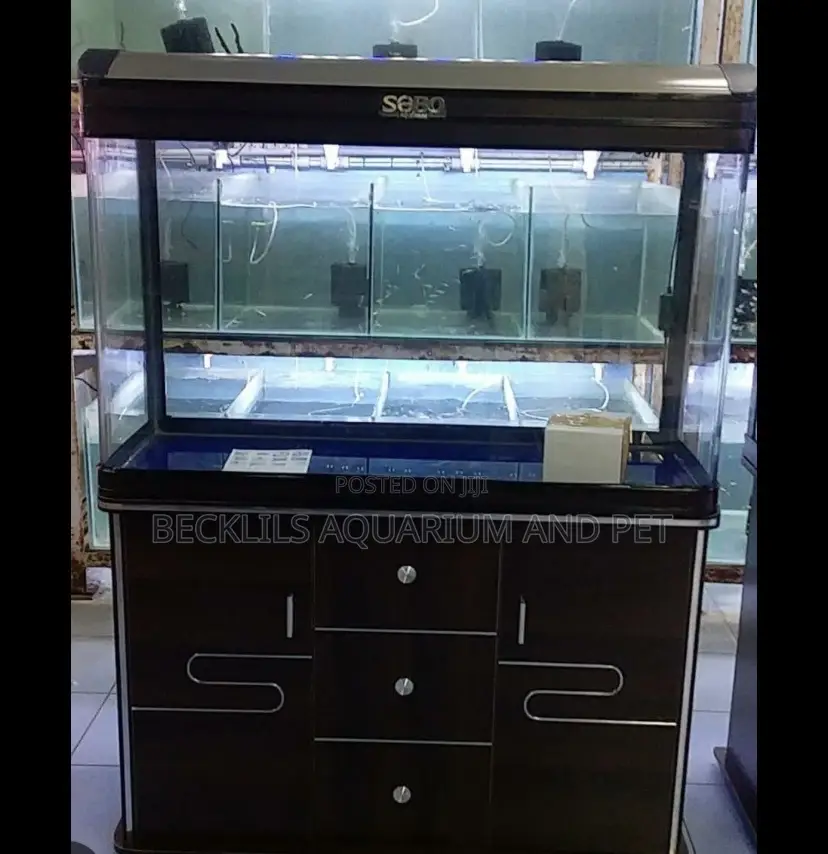 Aquarium Fish Tank