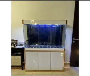 5 Feet Aquarium Fish Tank