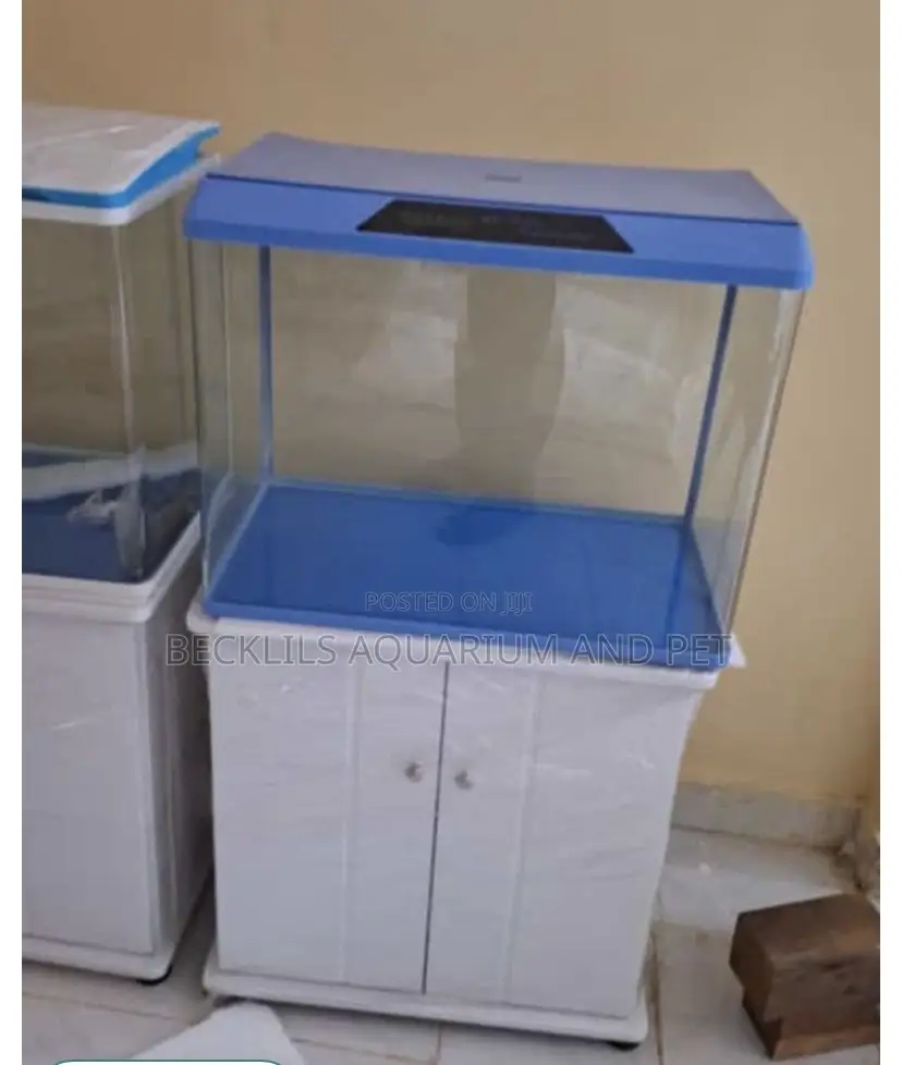 2 Feet Aquarium