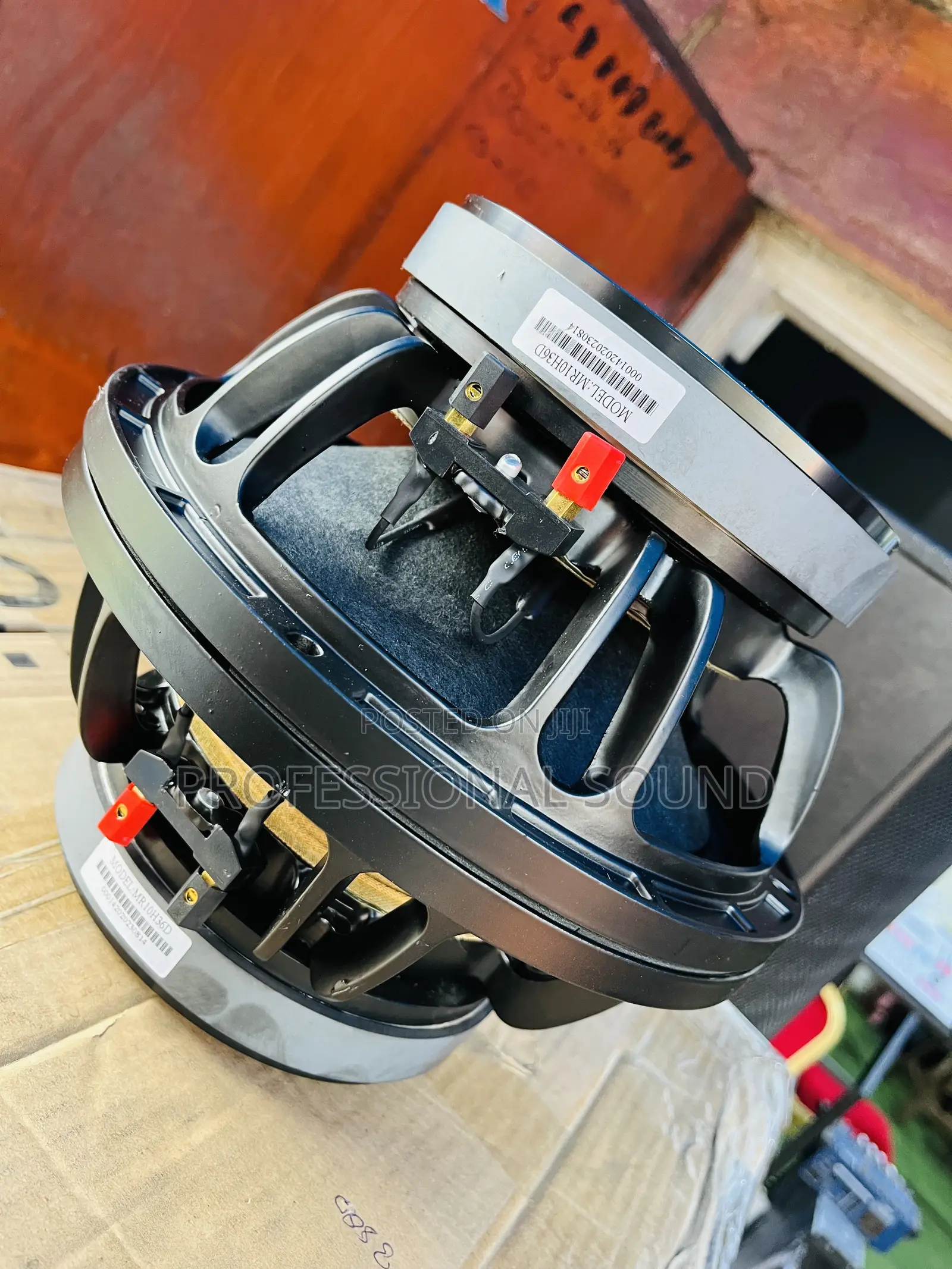 10 Inches Naked Speaker