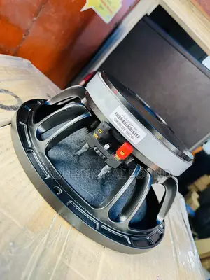 10 Inches Naked Speaker