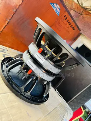 10 Inches Naked Speaker