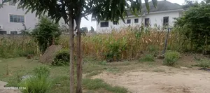 One Plot of Land for Sale at East Legon