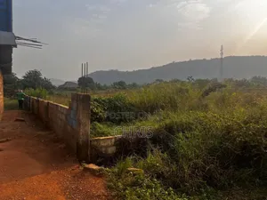 Roadside Land at Doryumu for Sale