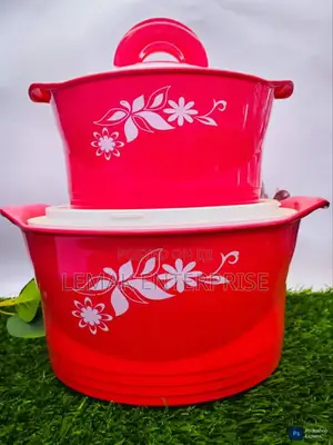 Winner Insulated Food Container