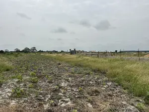 Dawhenya - Secure a Plot Here at Palm Haven Residence