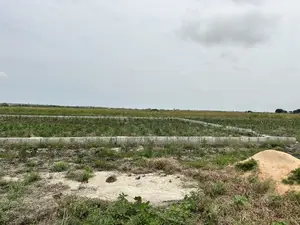 Dawhenya - Secure a Plot Here at Palm Haven Residence