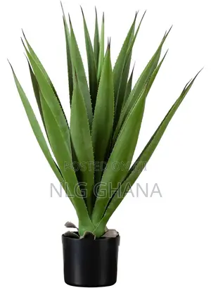 37cm / 14.6" Artificial Spiked Agave Plant. Ghx6294