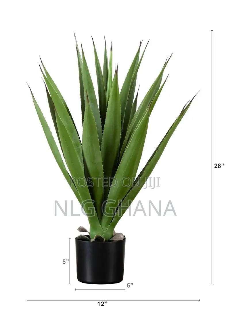37cm / 14.6" Artificial Spiked Agave Plant. Ghx6294