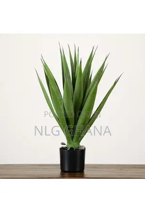 37cm / 14.6" Artificial Spiked Agave Plant. Ghx6294