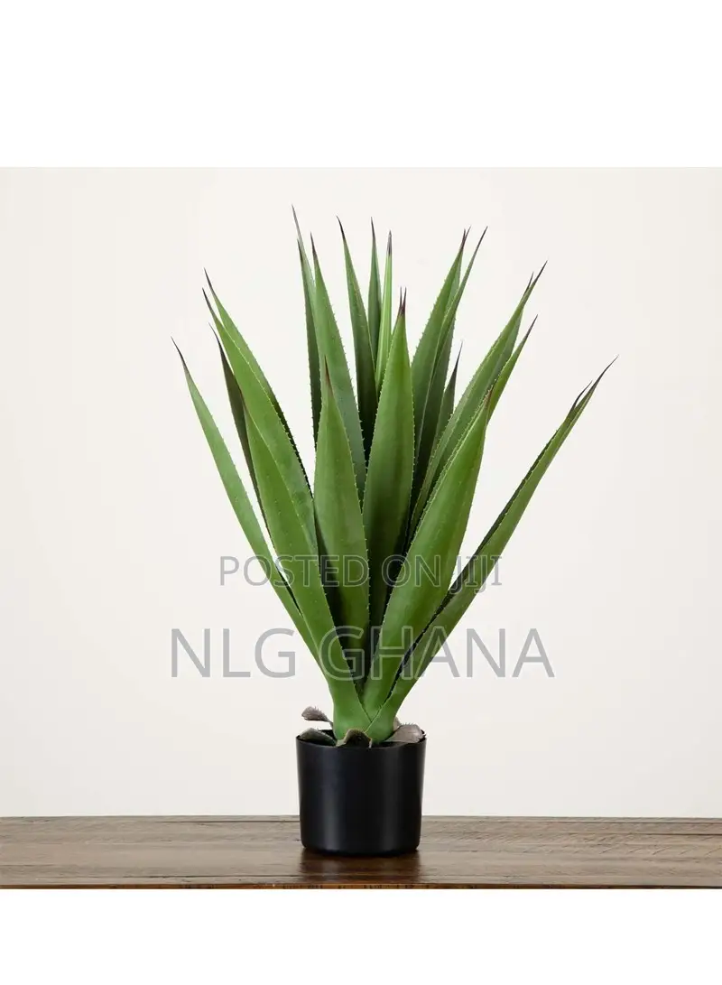 37cm / 14.6" Artificial Spiked Agave Plant. Ghx6294