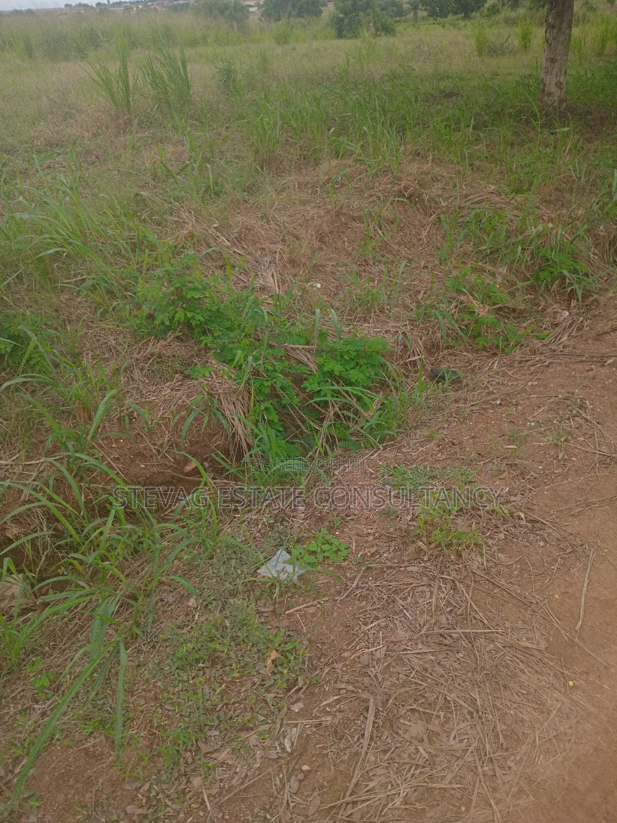 Aalpha Properties Land for Sale at Kasoa Akraman